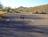 Arizona-Sonora Desert Museum::Yahoo! Travel
