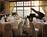 The Grove Isle Hotel and Spa from Orbitz