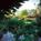 Rancho Valencia::Expedia