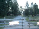 Tn-picture_20047