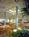 Renaissance Vinoy Resort and Golf Club::Expedia