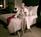 Hotel ZaZa - Houston::Orbitz