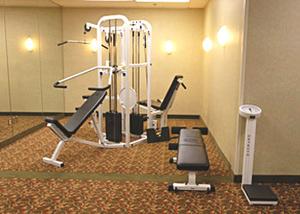 Web-sac_rast-fitns-1