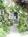 Centrella Inn::Hotels.com