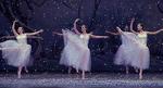 Mohawk Valley Ballet::Ballet Arts by Delia