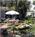 Sandpiper Hotel and Suites::Hotels.com