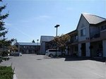 Tulip Inn