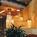 Renaissance Dallas - Richardson Hotel::Orbitz