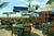 Beachcomber Beach Resort & Hotel::Expedia