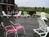 Econo Lodge Middletown::Priceline.com