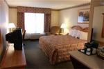 Tn-iadecora_b6