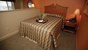 Web-14668-pi1