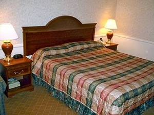 Web-41240_23_b