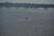 Comfort Suites River Front Park::tripadvisor