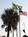 Holiday Inn Galveston on the Beach::Orbitz