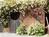 Farmhouse Bed & Breakfast::BedAndBreakfast.com