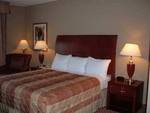 Hilton Garden Inn Tampa Northwest/Oldsmar