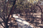 Friedrich Wilderness Park
