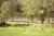 Edgewater Inn & Cottages::Hotels.com