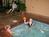 Hampton Inn Richmond::VirtualTourist