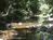 Backyard Garden Oasis::BedAndBreakfast.com