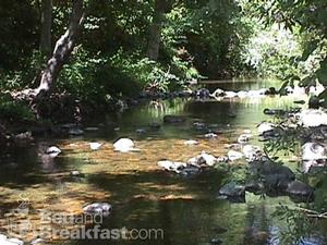 Backyard Garden Oasis::BedAndBreakfast.com