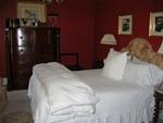 Tn-100935_room_01_f