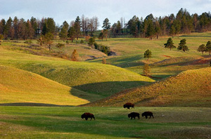 Web-national-park-09-g