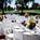 Orange Tree Golf Resort::Priceline.com