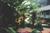 Hilo Seaside Hotel::Orbitz