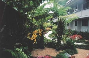 Hilo Seaside Hotel::Orbitz