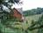 The Lodge on Apple Pie Ridge::BedAndBreakfast.com