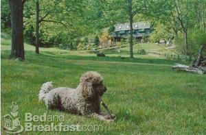 B & B at Ponder Cove::BedAndBreakfast.com