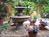 Garden District B&B::BedAndBreakfast.com