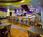 Ocean Plaza Beach Resort::Expedia