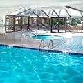 Tn-801674_pool_01_f