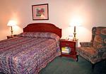 Comfort Inn Auburn