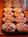 Holiday Inn Express Hotel & Suites Clearfield::Priceline.com