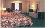 Tn-191108_room_02_f