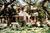Friendly Oaks Bed & Breakfast::BedAndBreakfast.com