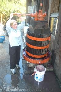 Web-geyserville-ca-inn-hopemerrillhousehopebosworthhouse