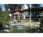 Tn-23896961-177x150-0-0