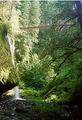 Drift Creek Falls Trail and Covered Bridge