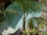 Point B Guest House