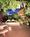 Best Western Royal Sun Inn & Suites::Orbitz