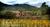 Wine Country Inn::BedAndBreakfast.com
