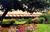 Oberlin Inn::Travelocity.com