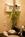 Clarion Hotel Portland::TripAdvisor