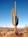 Miraval Life in Balance::TripAdvisor