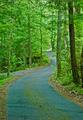 Tn-roaring-fork